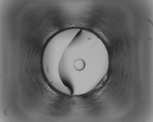 X0000096460585200802211128