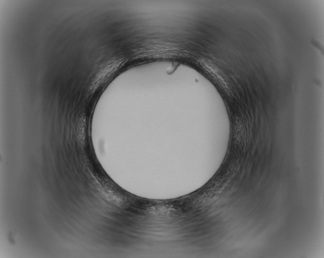 X0000096460586200802211128