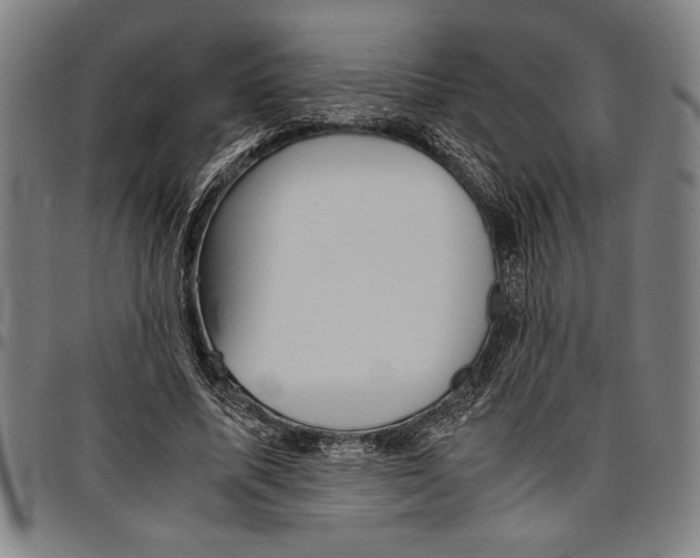 X0000096460587200802211128