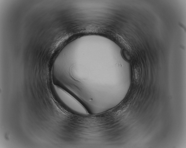 X0000096460588200802211128