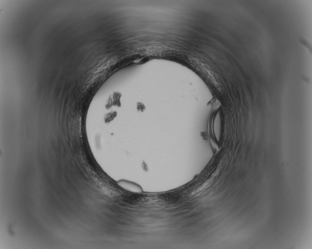 X0000096460589200802211128