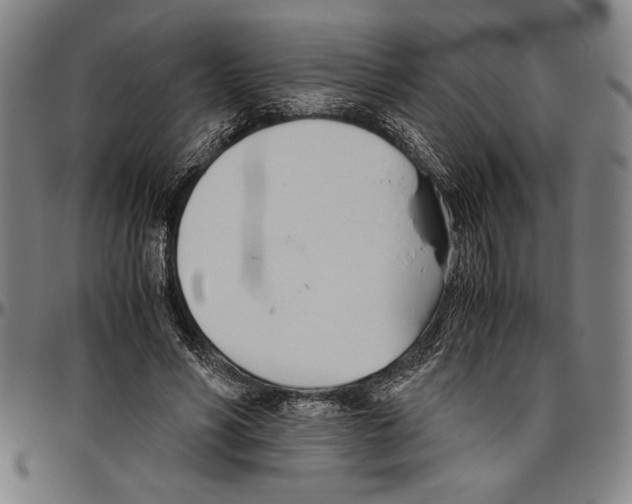X0000096460590200802211128