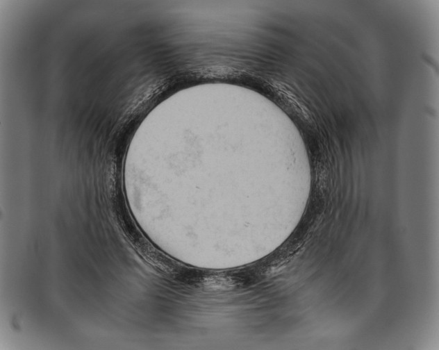 X0000096460591200802211128