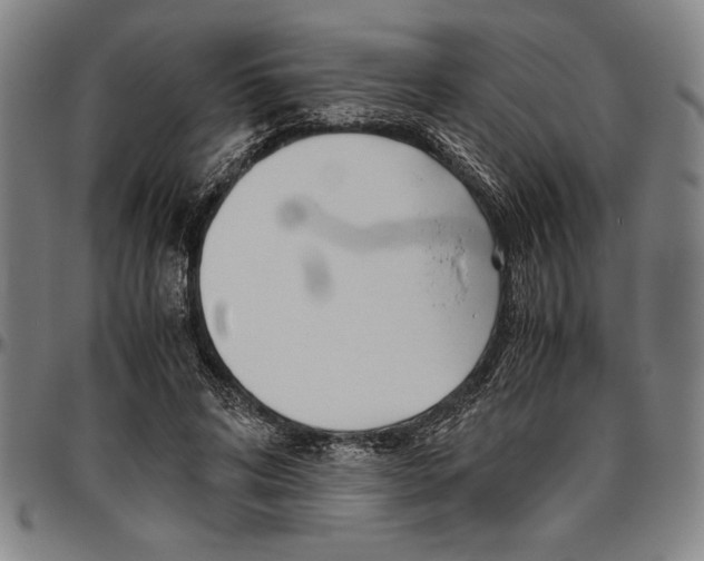 X0000096460592200802211128