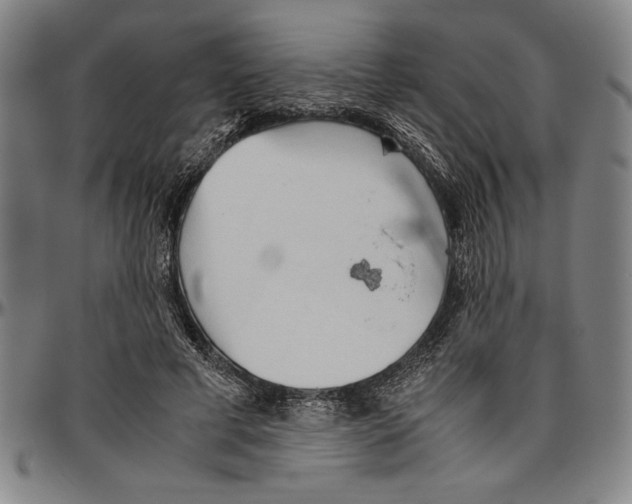 X0000096460593200802211128