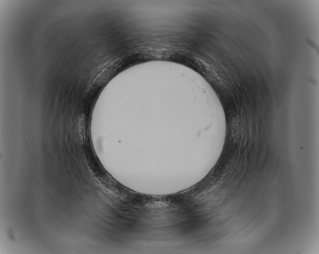 X0000096460594200802211128