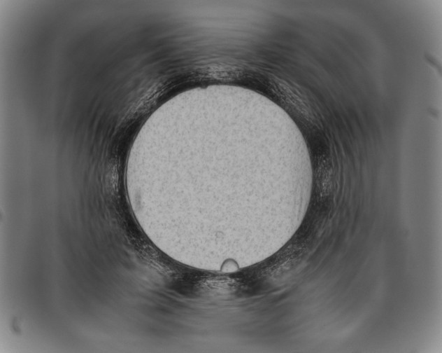 X0000096460595200802211128