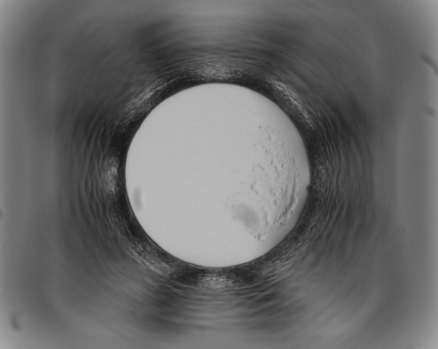 X0000096460596200802211128