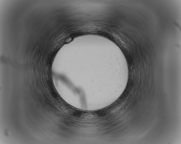 X0000096460597200802211128