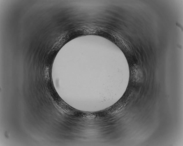 X0000096460598200802211128