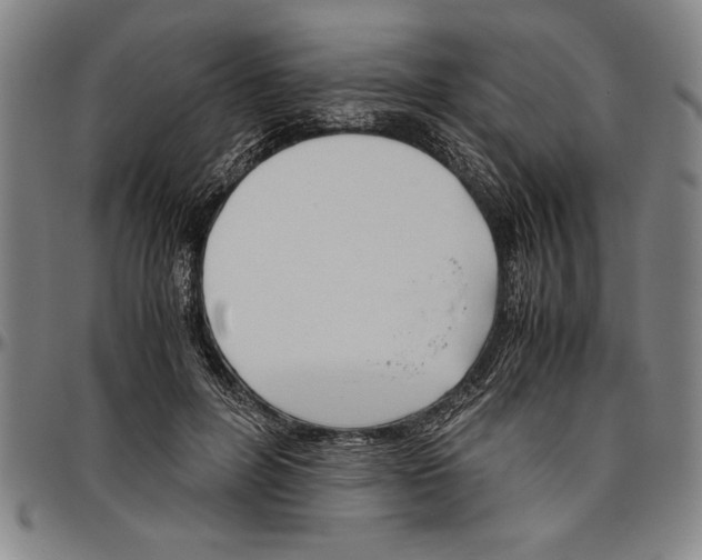 X0000096460600200802211128