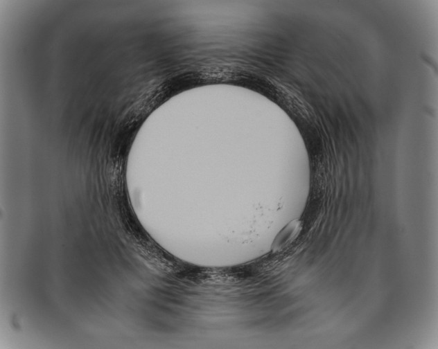 X0000096460601200802211128