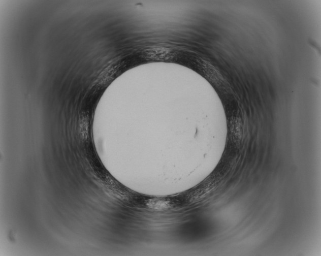 X0000096460602200802211128