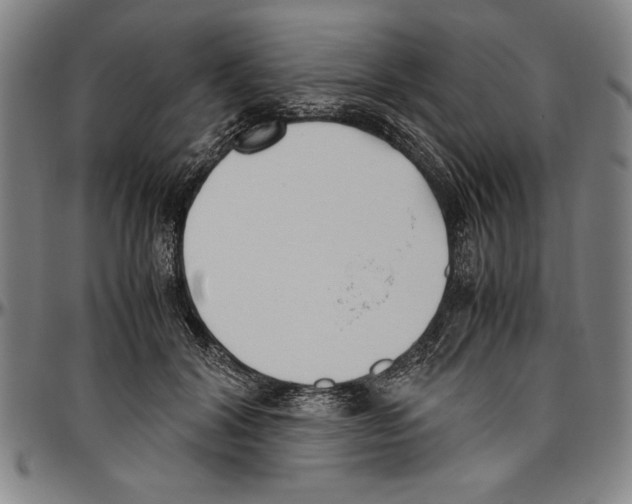 X0000096460604200802211128