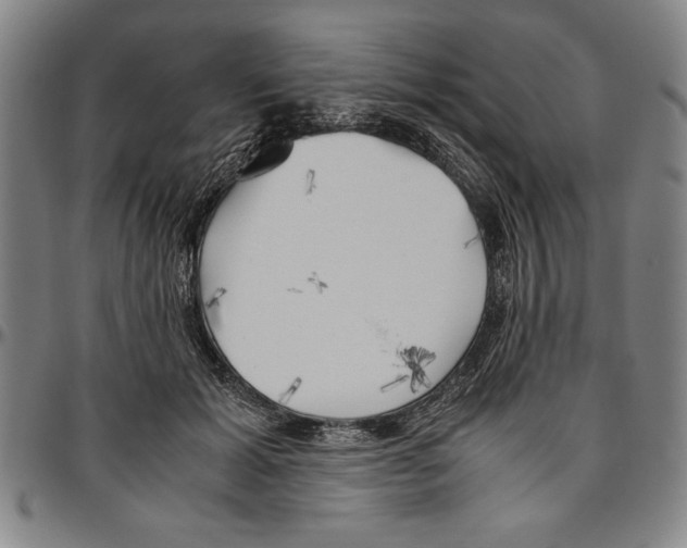 X0000096460605200802211128