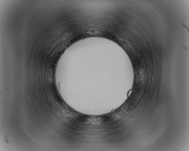 X0000096460606200802211128
