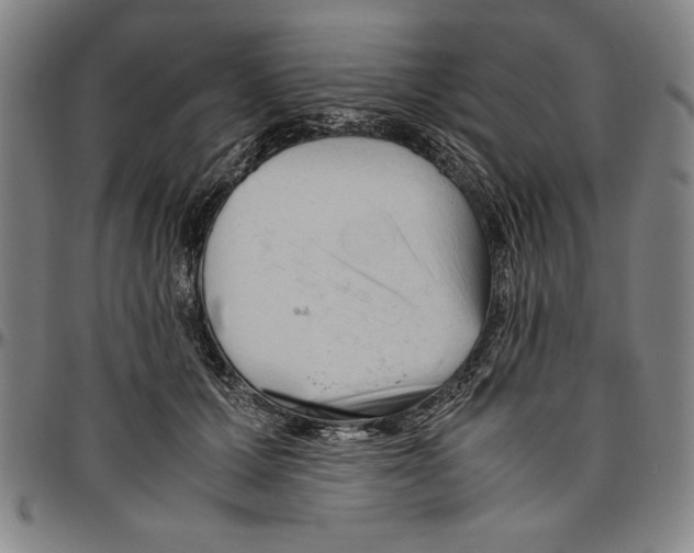X0000096460607200802211128