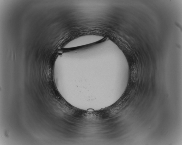 X0000096460608200802211128