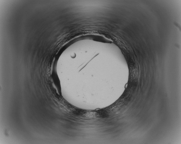 X0000096460609200802211128