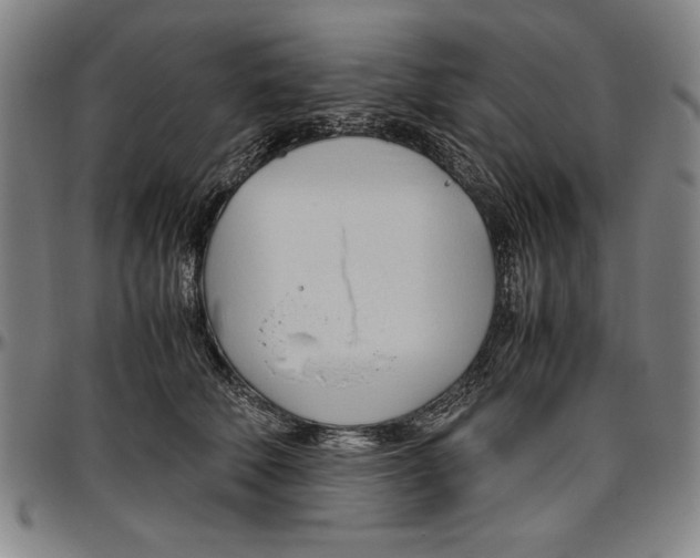 X0000096460610200802211128