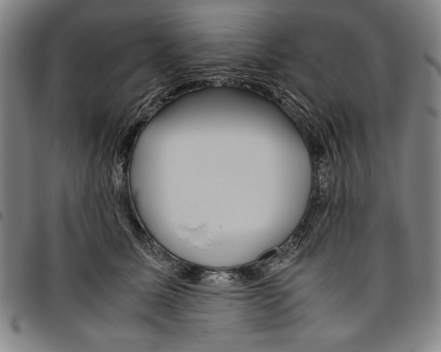X0000096460611200802211128