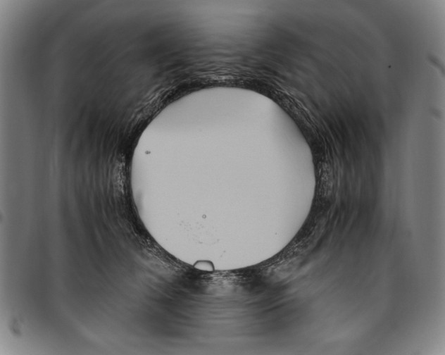 X0000096460612200802211128