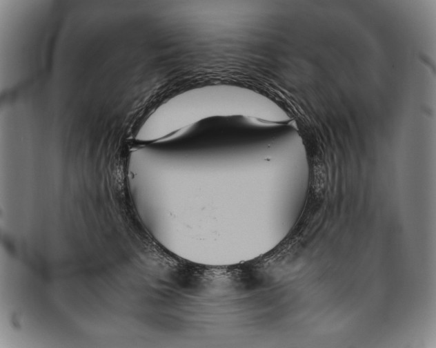 X0000096460613200802211127