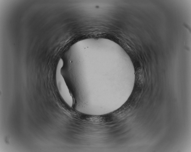 X0000096460615200802211127