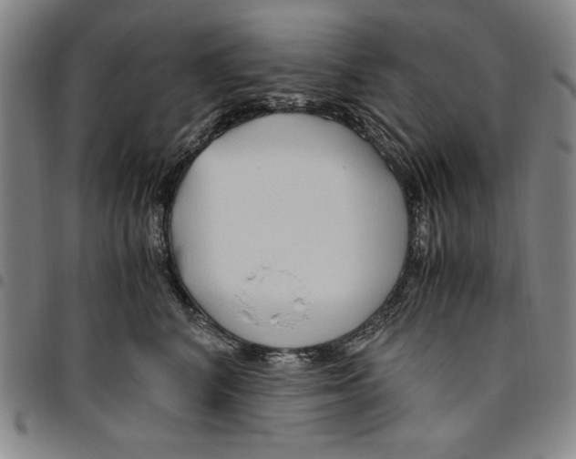 X0000096460616200802211127