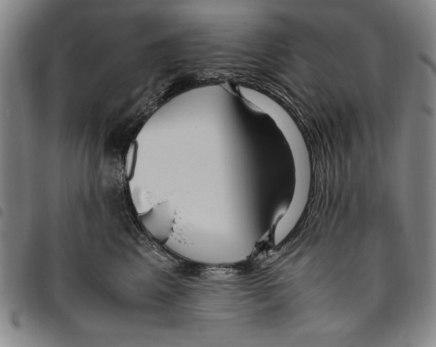 X0000096460617200802211127