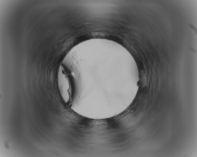 X0000096460619200802211127