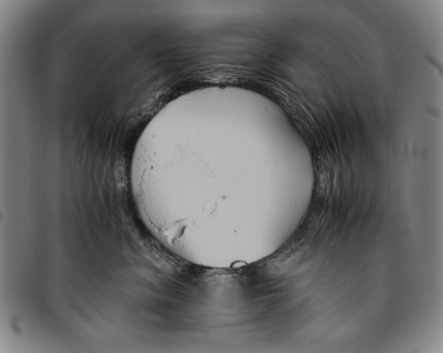 X0000096460620200802211127