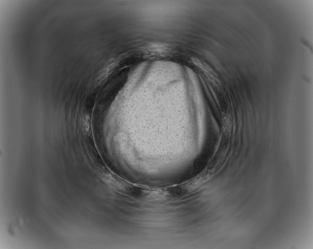 X0000096460621200802211127