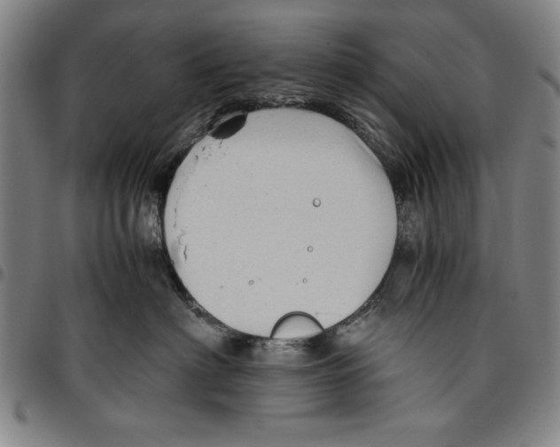 X0000096460622200802211127