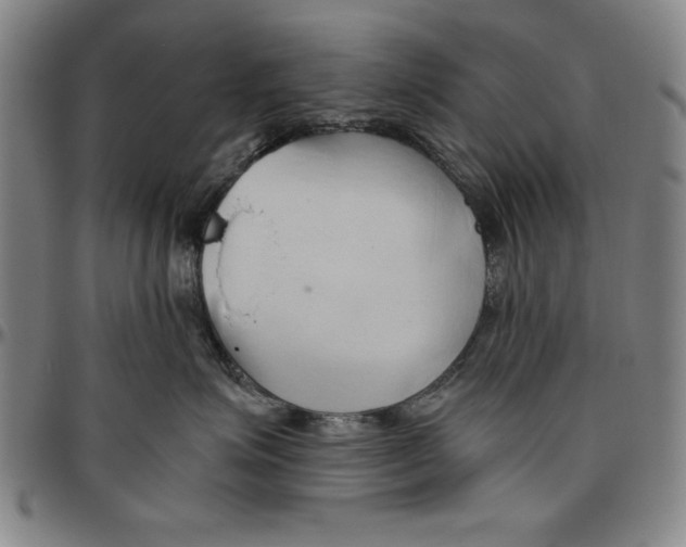 X0000096460623200802211127