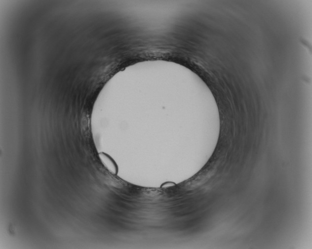 X0000096460624200802211127