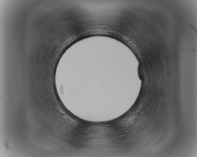 X0000096460625200802211127