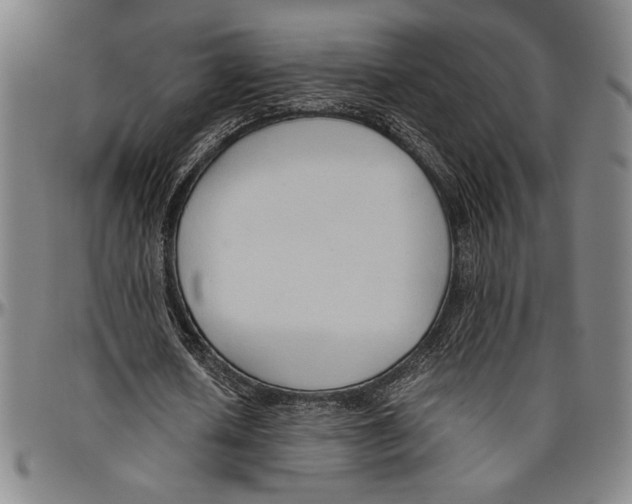 X0000096460626200802211127