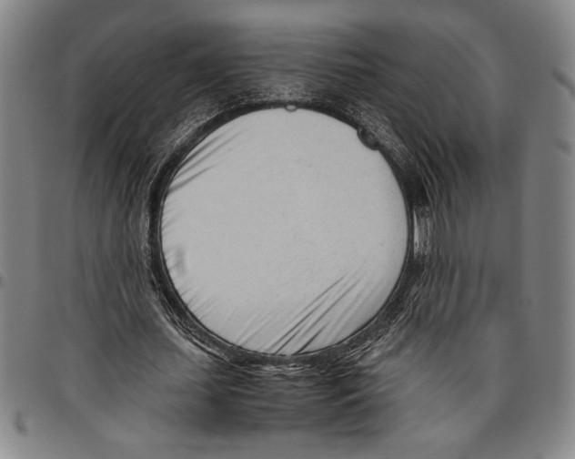 X0000096460627200802211127