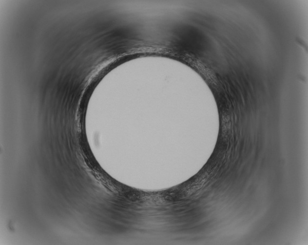 X0000096460628200802211127
