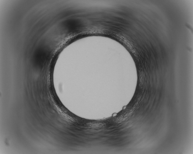 X0000096460629200802211127