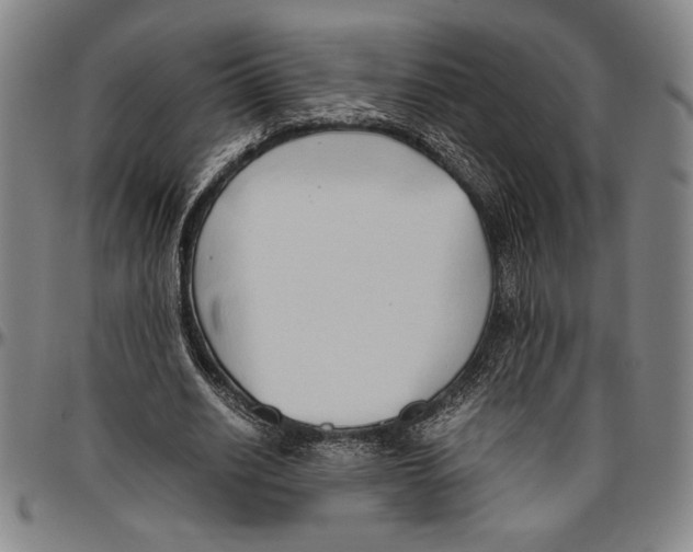 X0000096460630200802211127