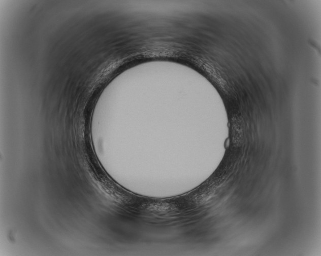 X0000096460631200802211127
