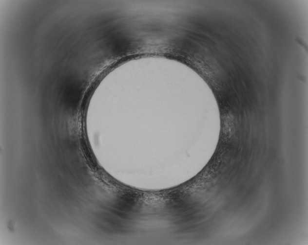 X0000096460632200802211127