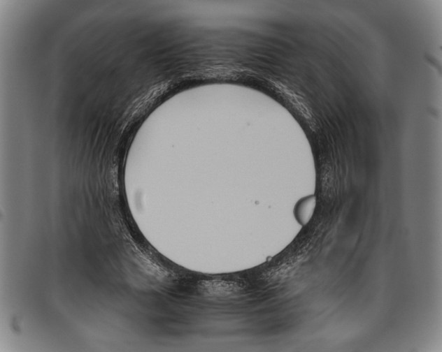 X0000096460633200802211127
