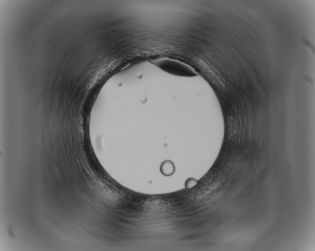 X0000096460634200802211127