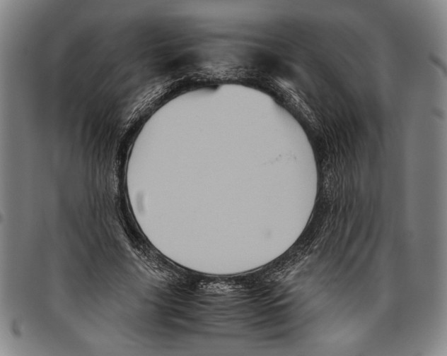 X0000096460635200802211127