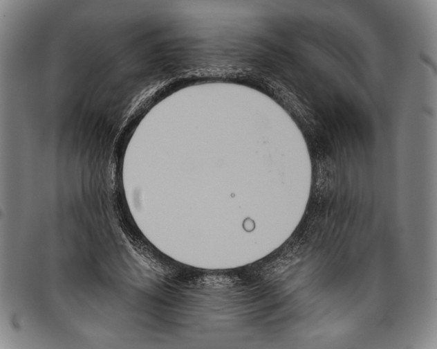X0000096460636200802211127