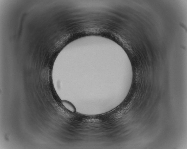 X0000096460637200802211127