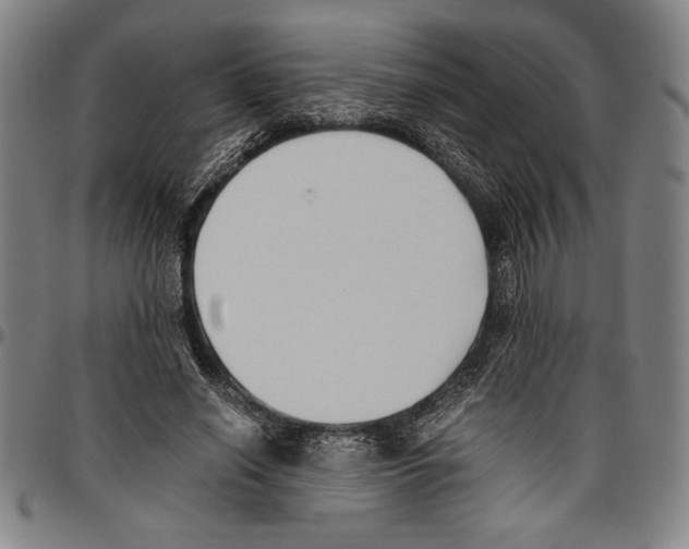 X0000096460638200802211127